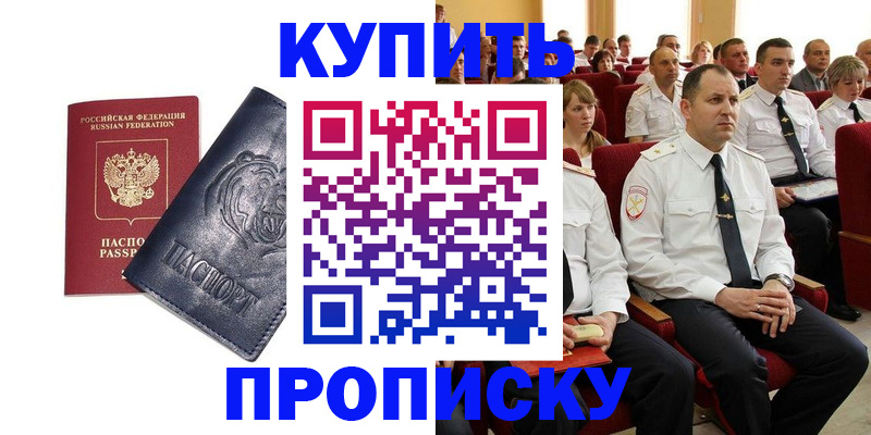 временная регистрация адрес в Камчатской области